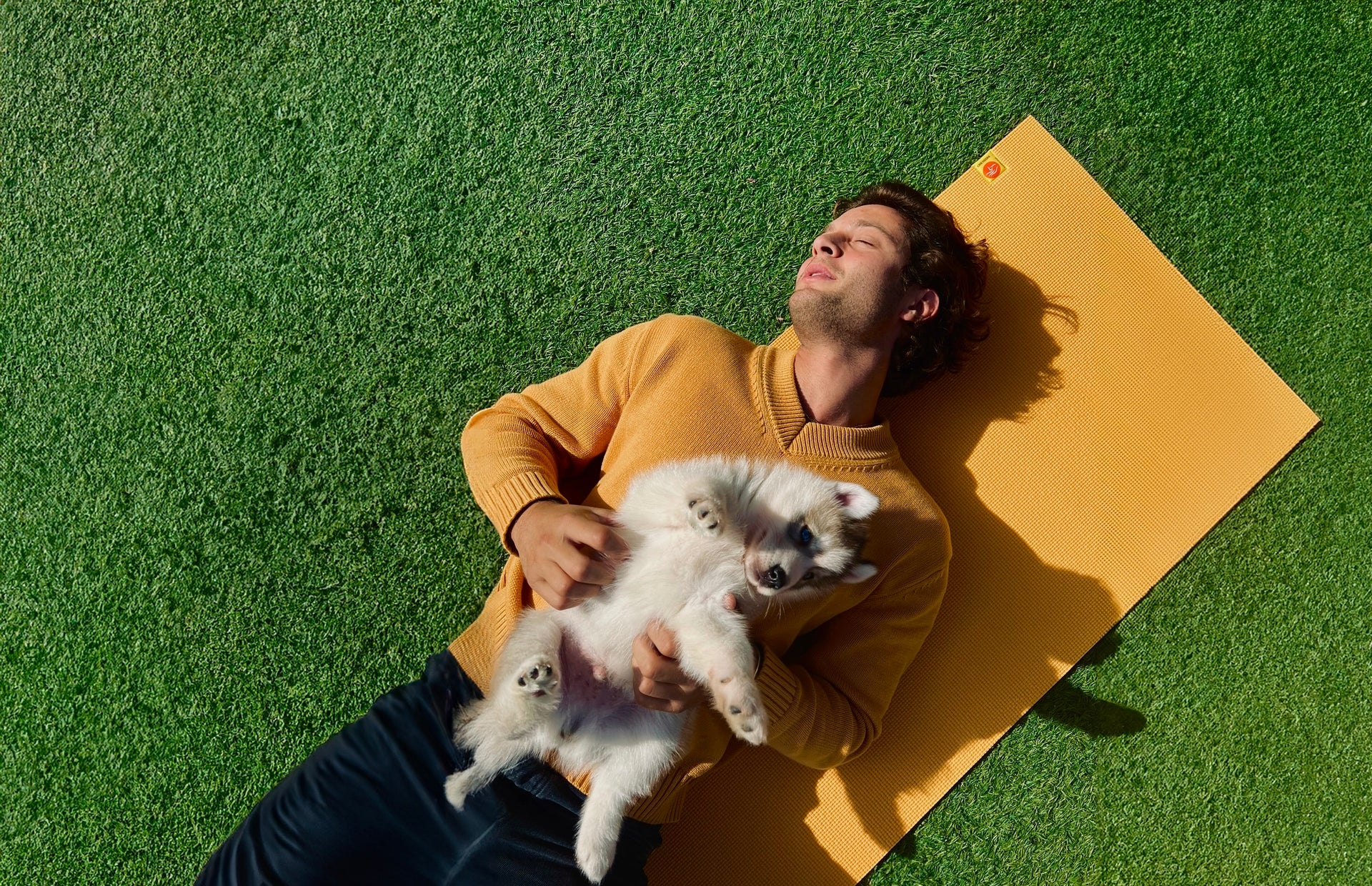 Find Your Zen With Puppies